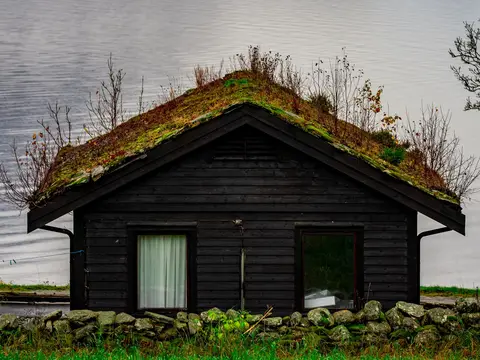 Liten trehytte med torvtak ved en fjord